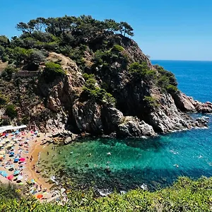 https://encantador-apartamento-en-tossa-de-mar.catalonia-hotels.com